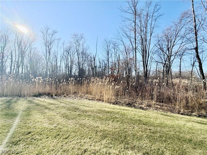 153 Raintree Lane, Painesville Township, OH 44077 Photo 3