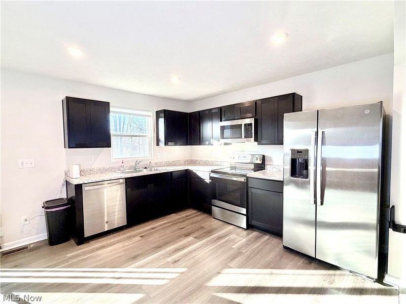 153 Raintree Lane, Painesville Township, OH 44077 Photo 4