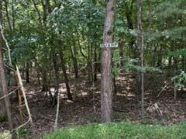 125 Lechmere Drive , Crossville, TN 38558