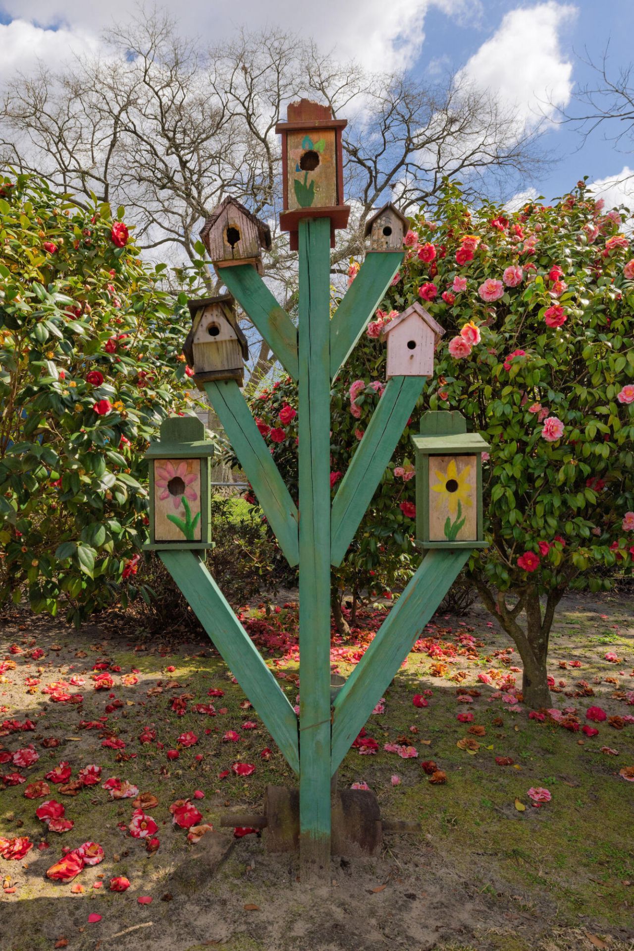 1247 Northfield Place Photo 16