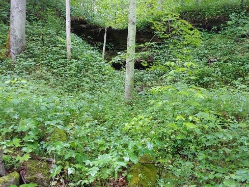 00 Pipe Creek Road , Jacobsburg, OH 43947 Photo 11