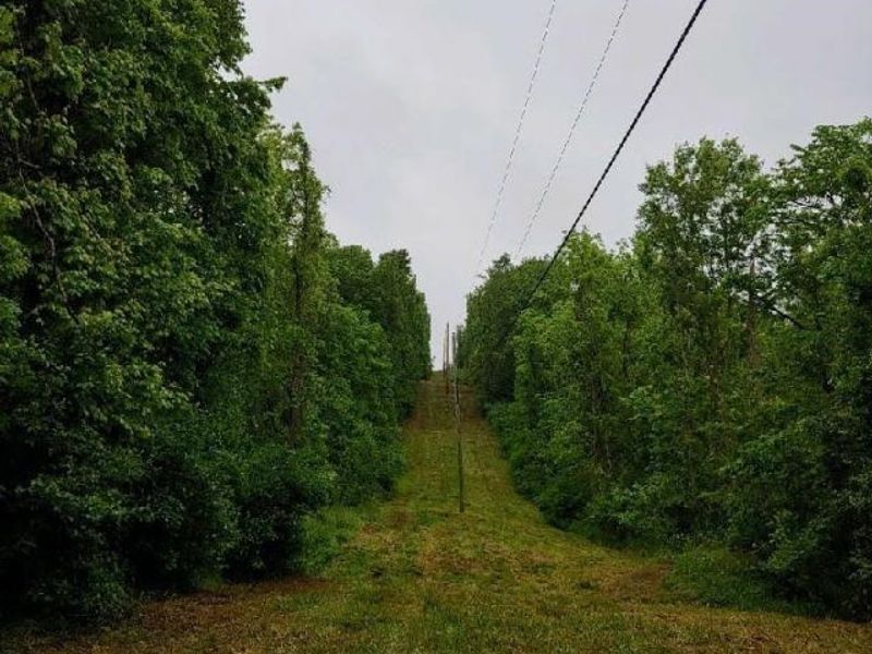 00 Pipe Creek Road , Jacobsburg, OH 43947 Photo 13