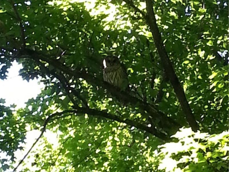 00 Pipe Creek Road , Jacobsburg, OH 43947 Photo 14