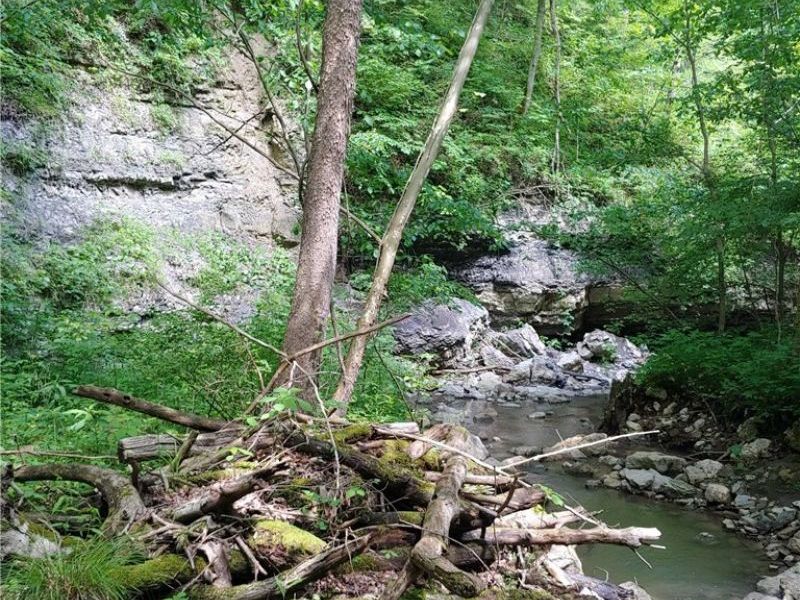 00 Pipe Creek Road , Jacobsburg, OH 43947 Photo 15