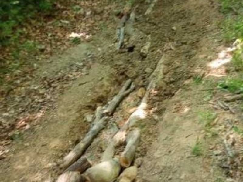 00 Pipe Creek Road , Jacobsburg, OH 43947 Photo 17