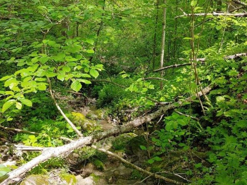 00 Pipe Creek Road , Jacobsburg, OH 43947 Photo 2