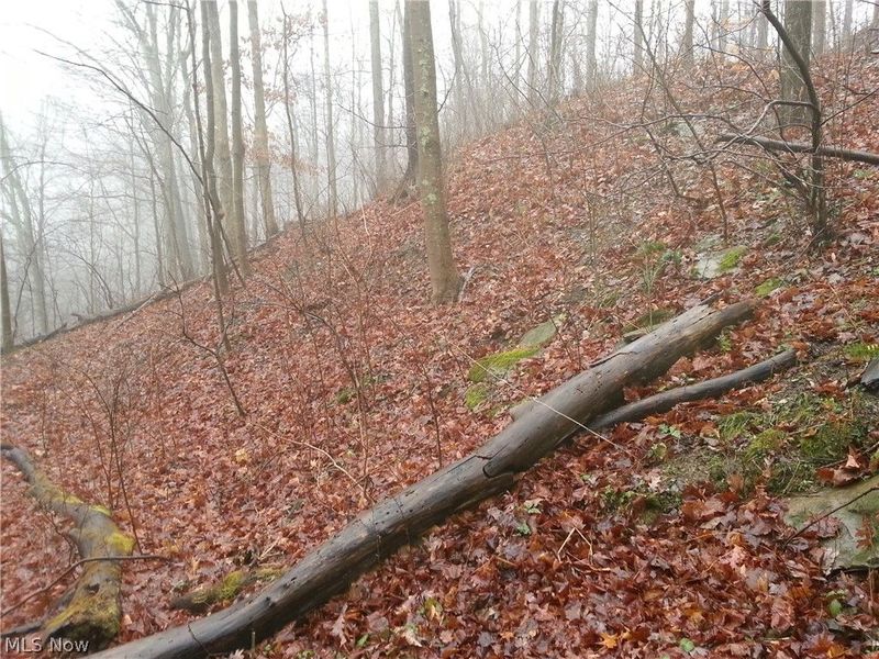 00 Pipe Creek Road , Jacobsburg, OH 43947 Photo 20