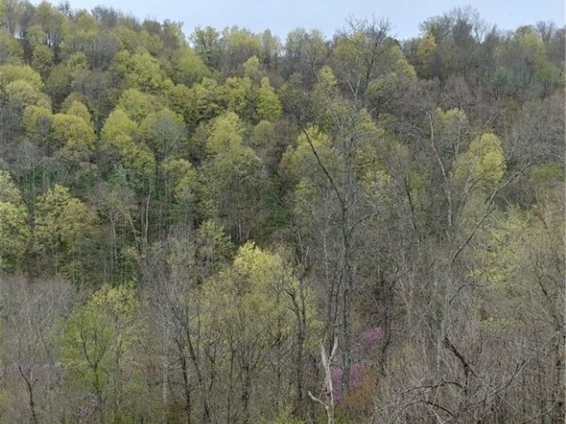 00 Pipe Creek Road , Jacobsburg, OH 43947 Photo 22