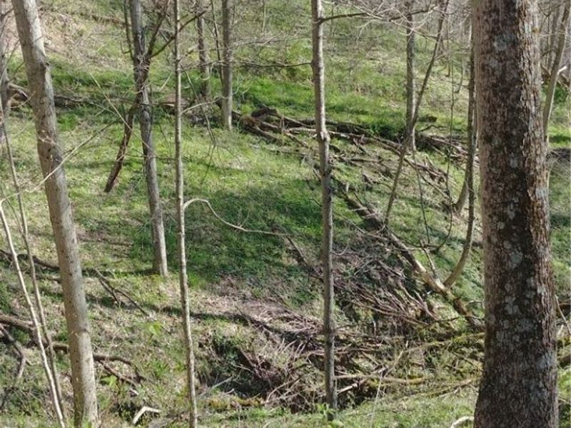 00 Pipe Creek Road , Jacobsburg, OH 43947 Photo 23