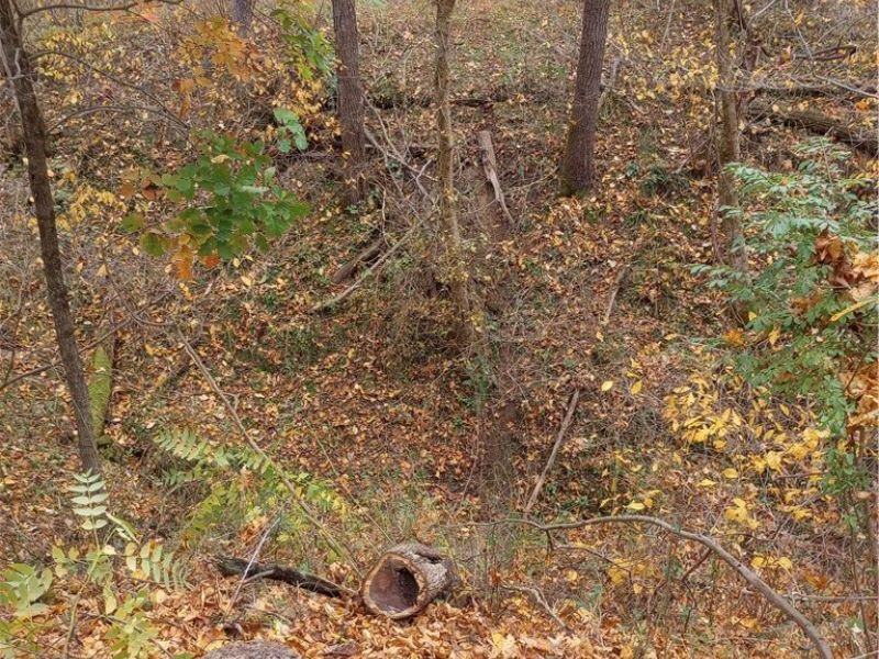 00 Pipe Creek Road , Jacobsburg, OH 43947 Photo 28