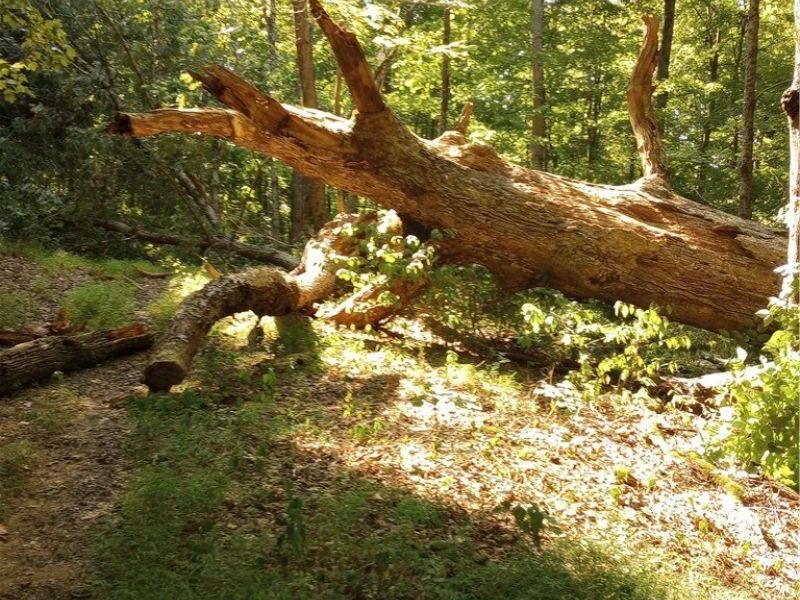 00 Pipe Creek Road , Jacobsburg, OH 43947 Photo 29