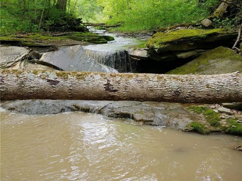 00 Pipe Creek Road , Jacobsburg, OH 43947 Photo 3