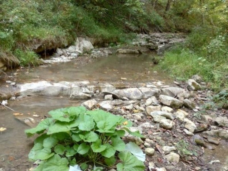 00 Pipe Creek Road , Jacobsburg, OH 43947 Photo 30