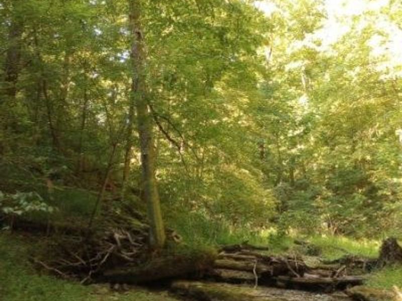 00 Pipe Creek Road , Jacobsburg, OH 43947 Photo 31