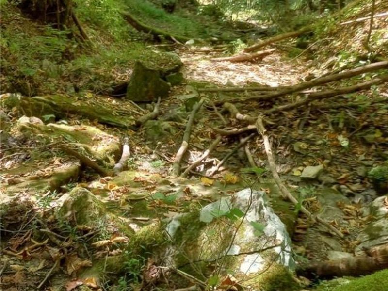 00 Pipe Creek Road , Jacobsburg, OH 43947 Photo 34