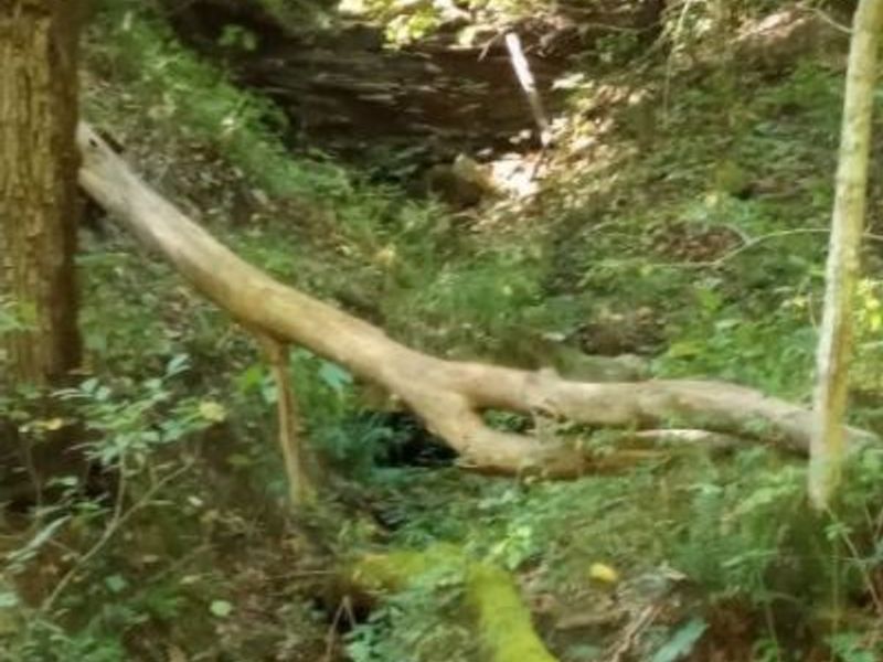 00 Pipe Creek Road , Jacobsburg, OH 43947 Photo 38