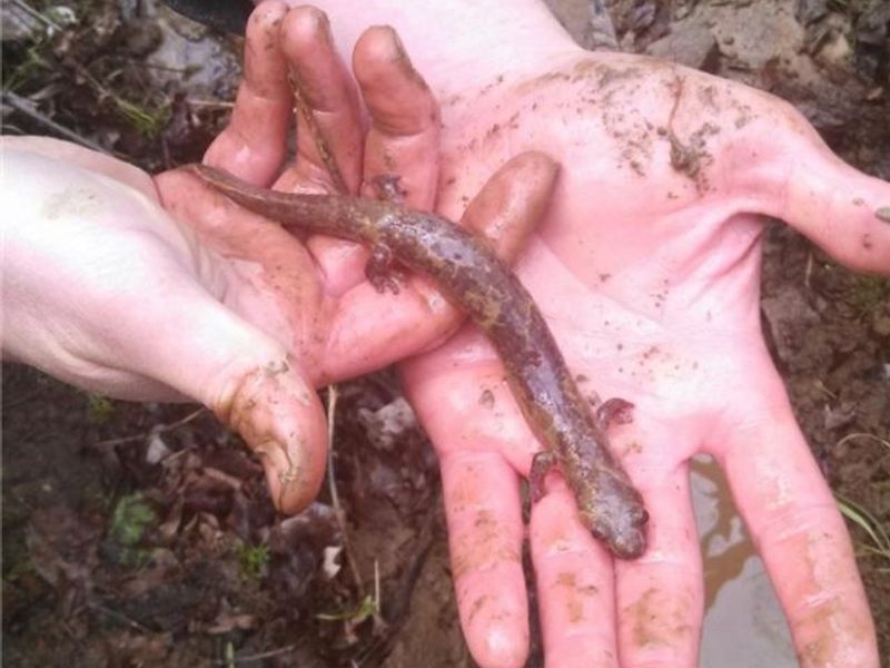 00 Pipe Creek Road , Jacobsburg, OH 43947 Photo 39