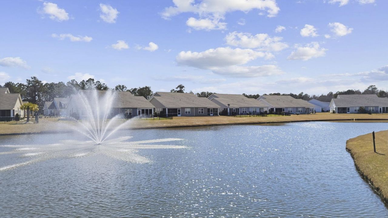 1807 Berkley Village Loop Photo 30