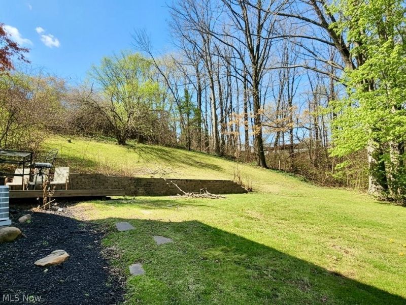 173 Portage Lakes Drive , Akron, OH 44319 Photo 3