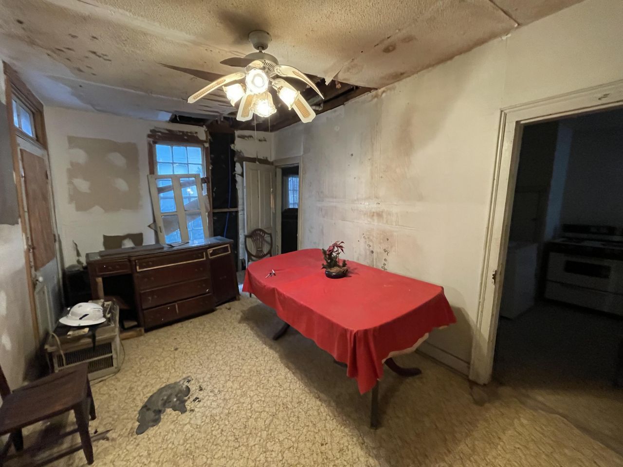 3 Elizabeth Street Photo 26