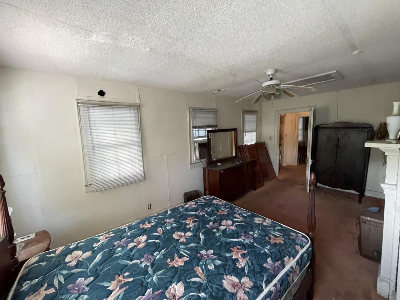 3 Elizabeth Street Photo 34