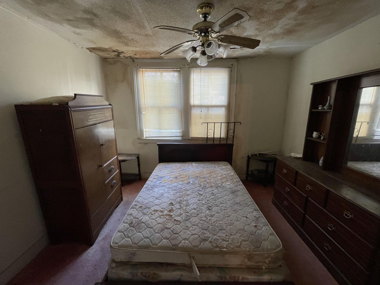 3 Elizabeth Street Photo 38