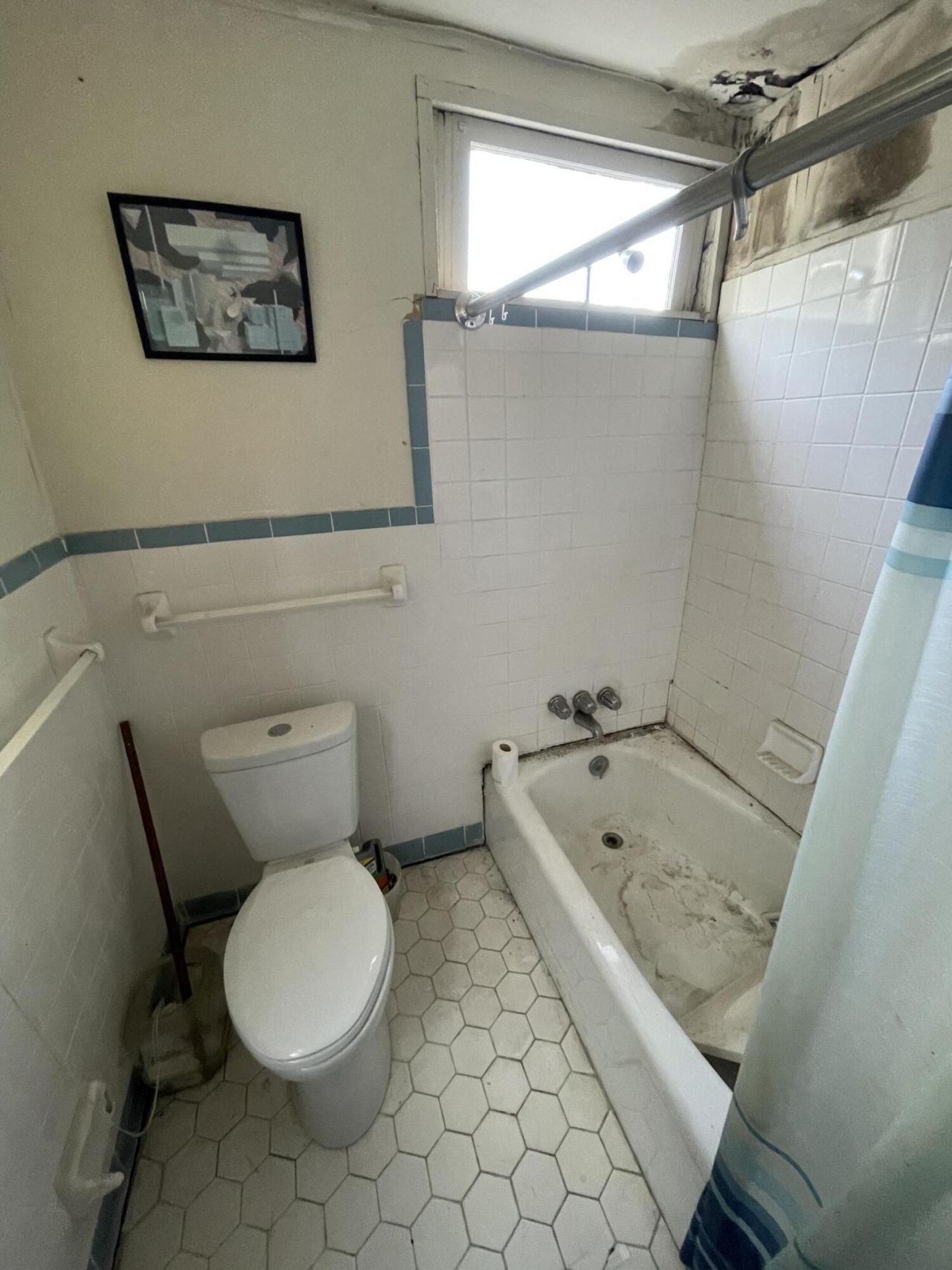 3 Elizabeth Street Photo 42