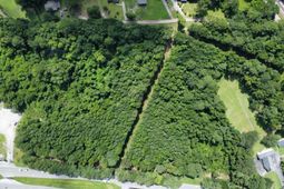 0 Savannah Highway  photo 4