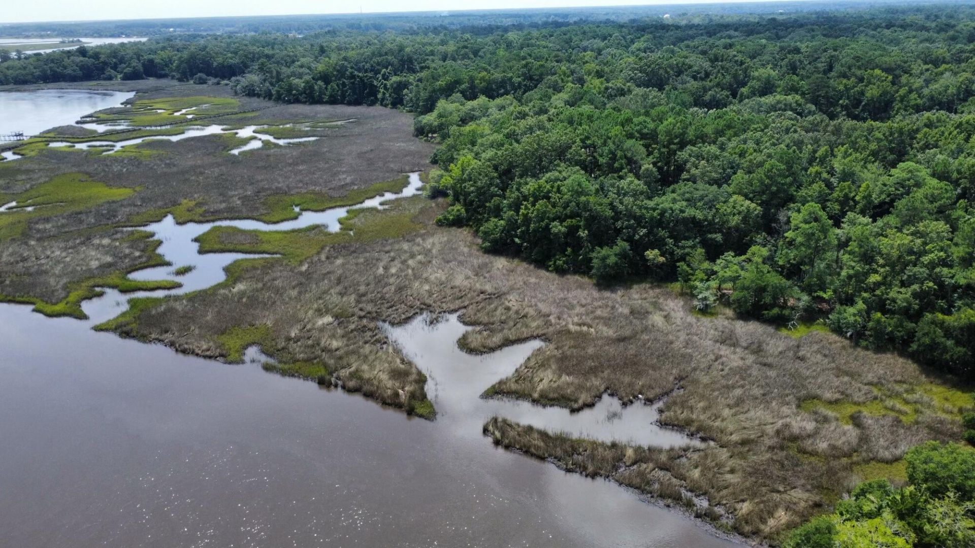 0 Savannah Highway  Photo 15