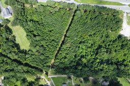 0 Savannah Highway photo 4