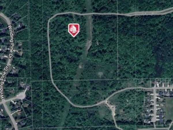 Jamestown Drive, Metamora Twp, MI 48455