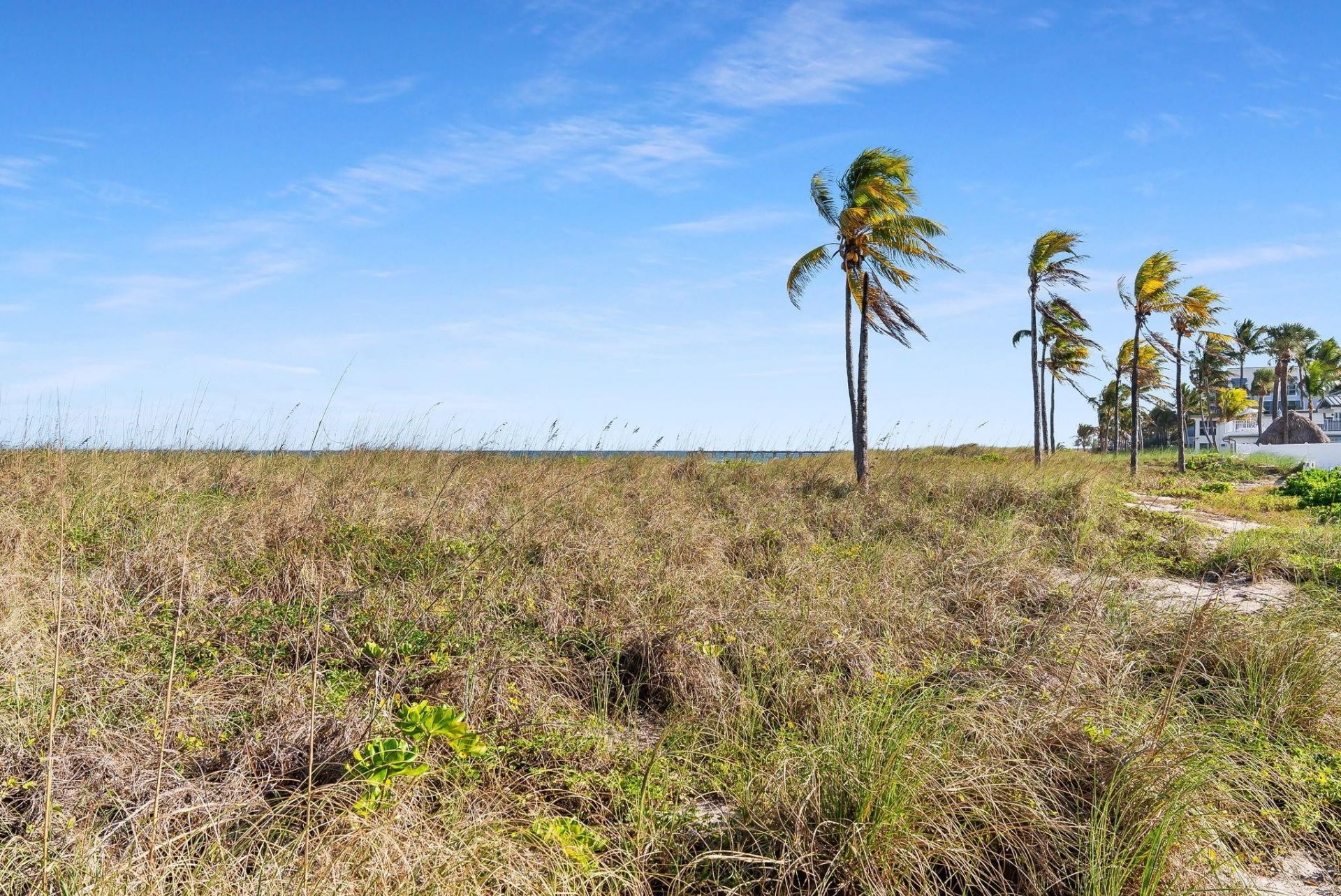 4546-4560 El Mar Drive, Lauderdale by the Sea, FL 33308 Photo