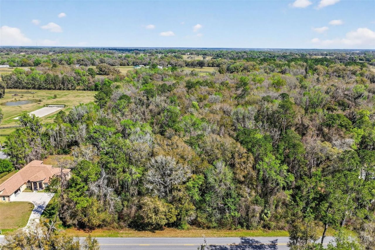 Tbd NW Hwy 225a, Reddick, FL 32686 Photo