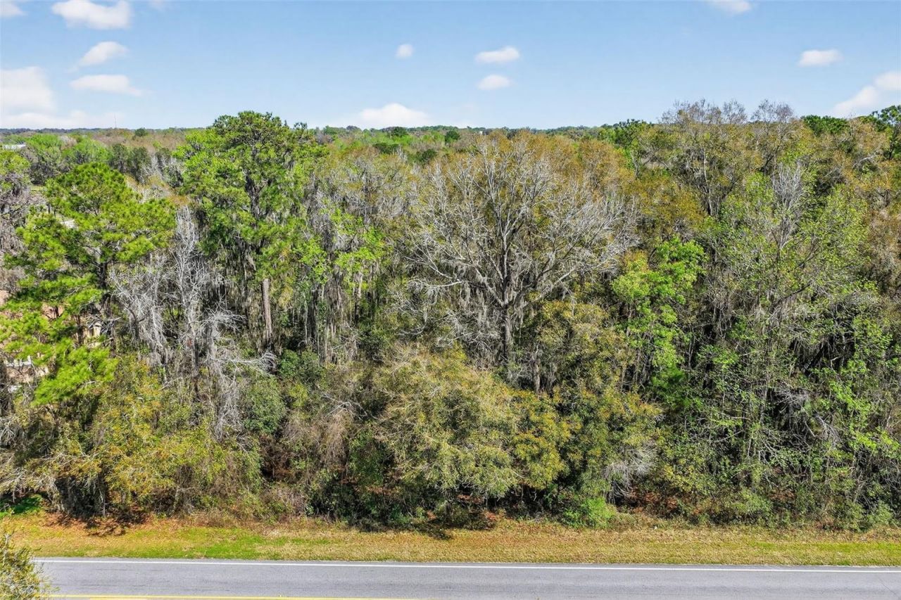 Tbd NW Hwy 225a, Reddick, FL 32686 Photo