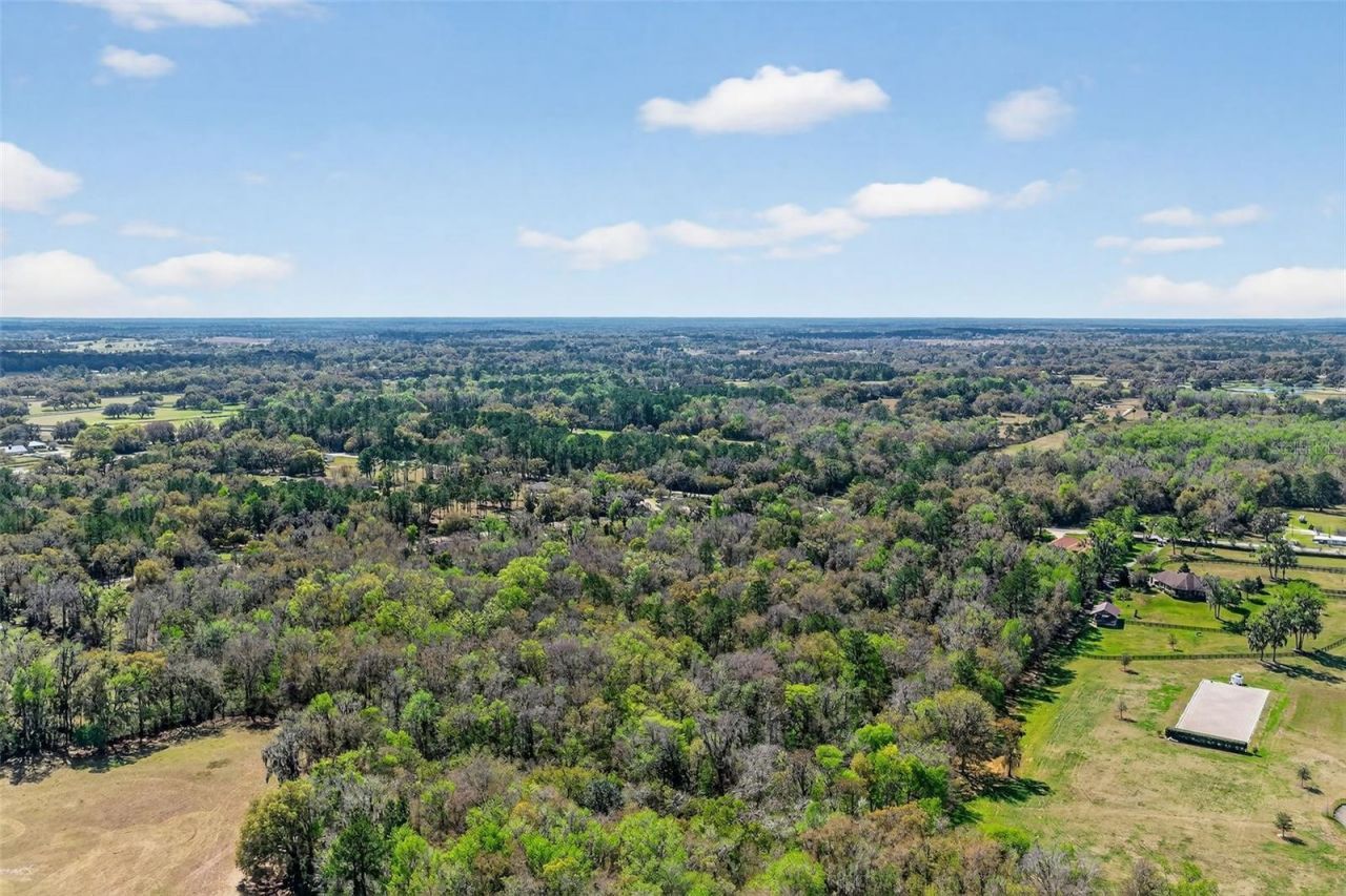 Tbd NW Hwy 225a, Reddick, FL 32686 Photo