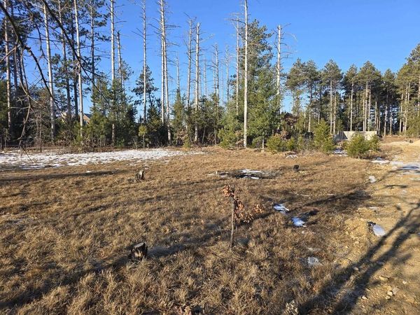 1155 W 16th Court, Arkdale, WI 54613