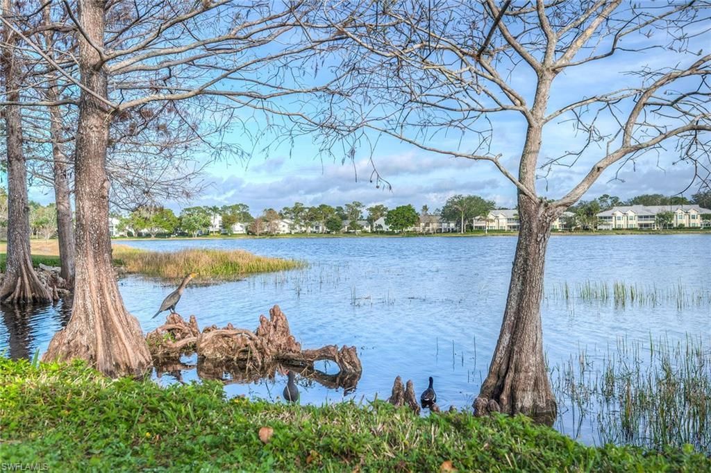 1802 Kings Lake Blvd, Unit 2-101, Naples, FL 34112 Photo