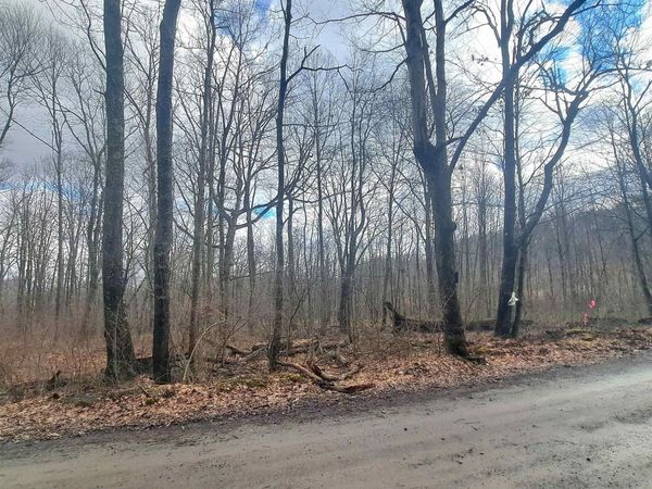 TBD Glade Run Road, Albright, WV 26519