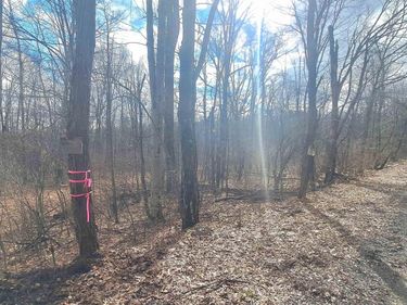 TBD Glade Run Road, Albright, WV 26519