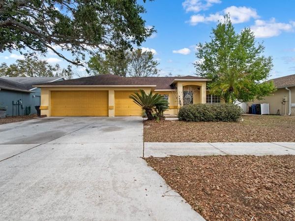 11301 ANDY DRIVE, RIVERVIEW, FL 33569