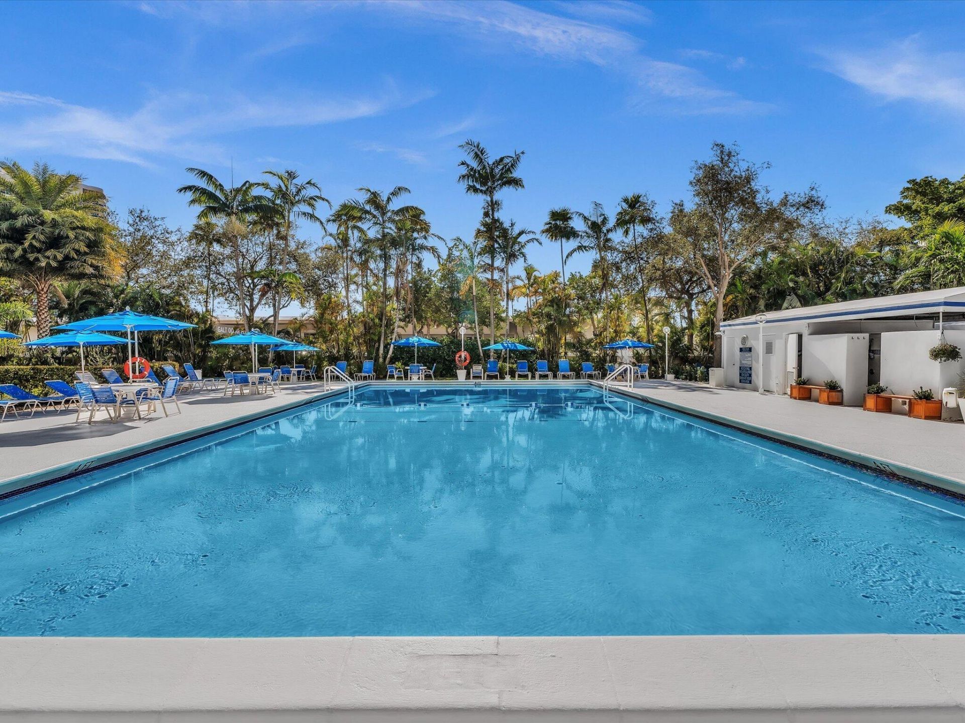 3333 NE 34th Street, Unit 319, Fort Lauderdale, FL 33308 Photo