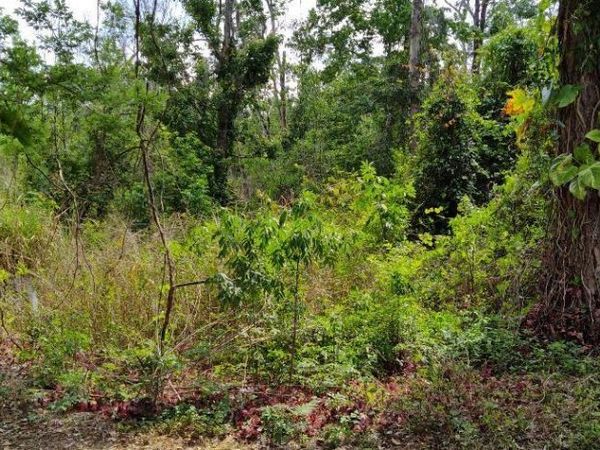 MARJORIE BOULEVARD , LONGWOOD, FL 32750