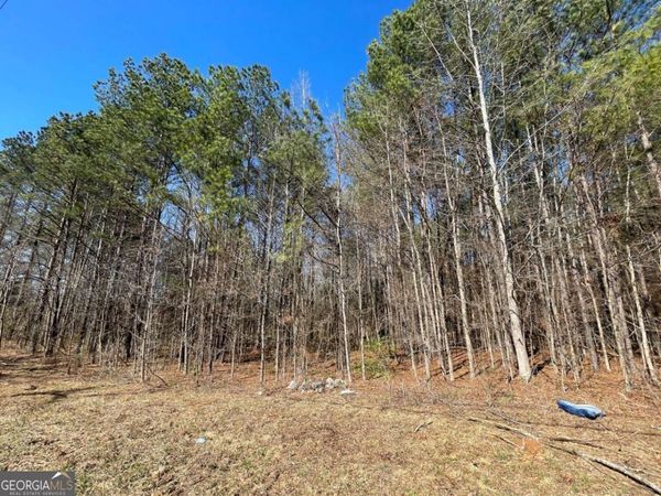 0 Brown Bridge Road, Covington, GA 30014
