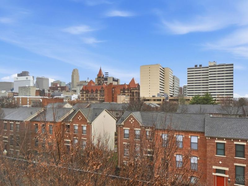 428 Elizabeth Street, Cincinnati, OH 45203 Photo 47