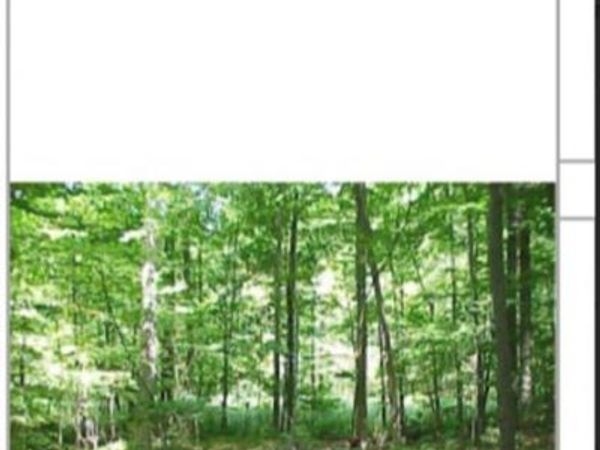 0000 0000, Lake Orion Vlg, MI 48360