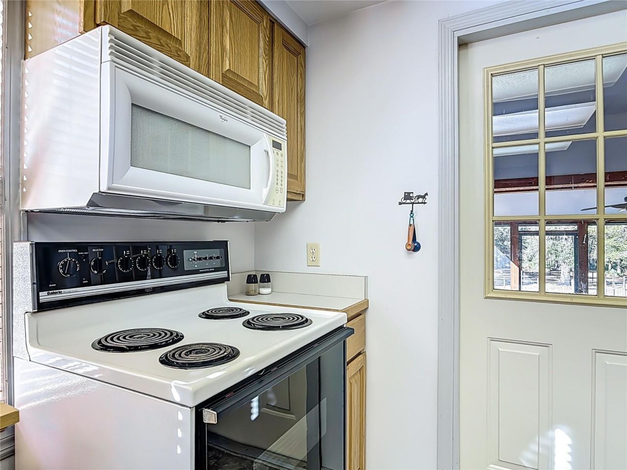 19534 Fox Den Lane , Altoona, FL 32702 Photo