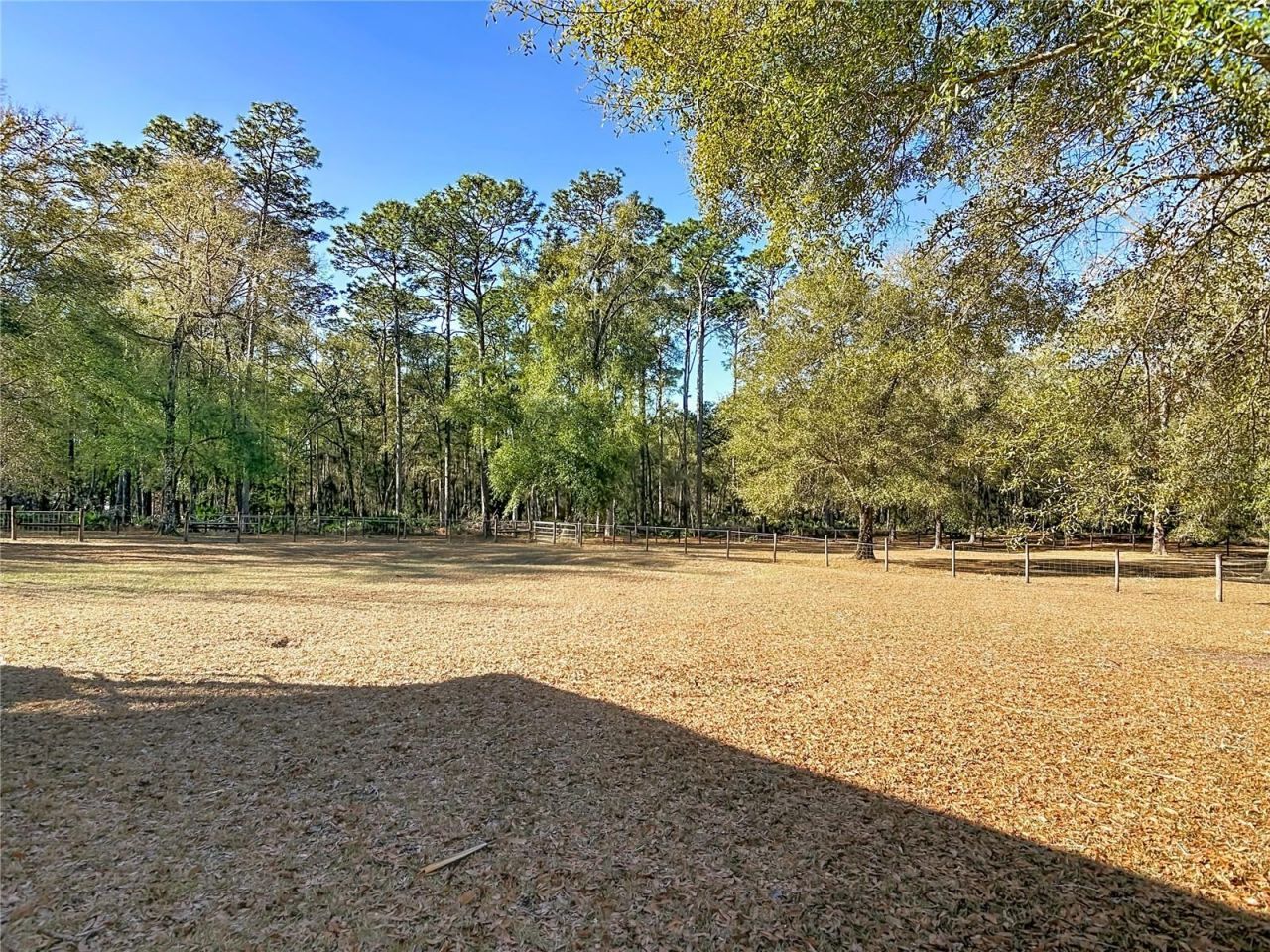 19534 Fox Den Lane , Altoona, FL 32702 Photo