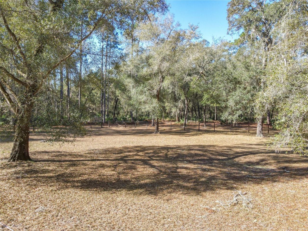 19534 Fox Den Lane , Altoona, FL 32702 Photo