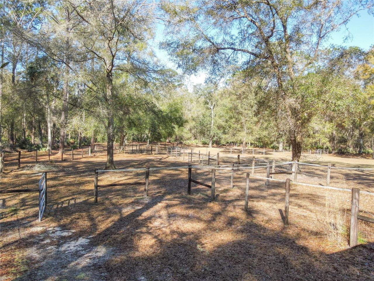 19534 Fox Den Lane , Altoona, FL 32702 Photo