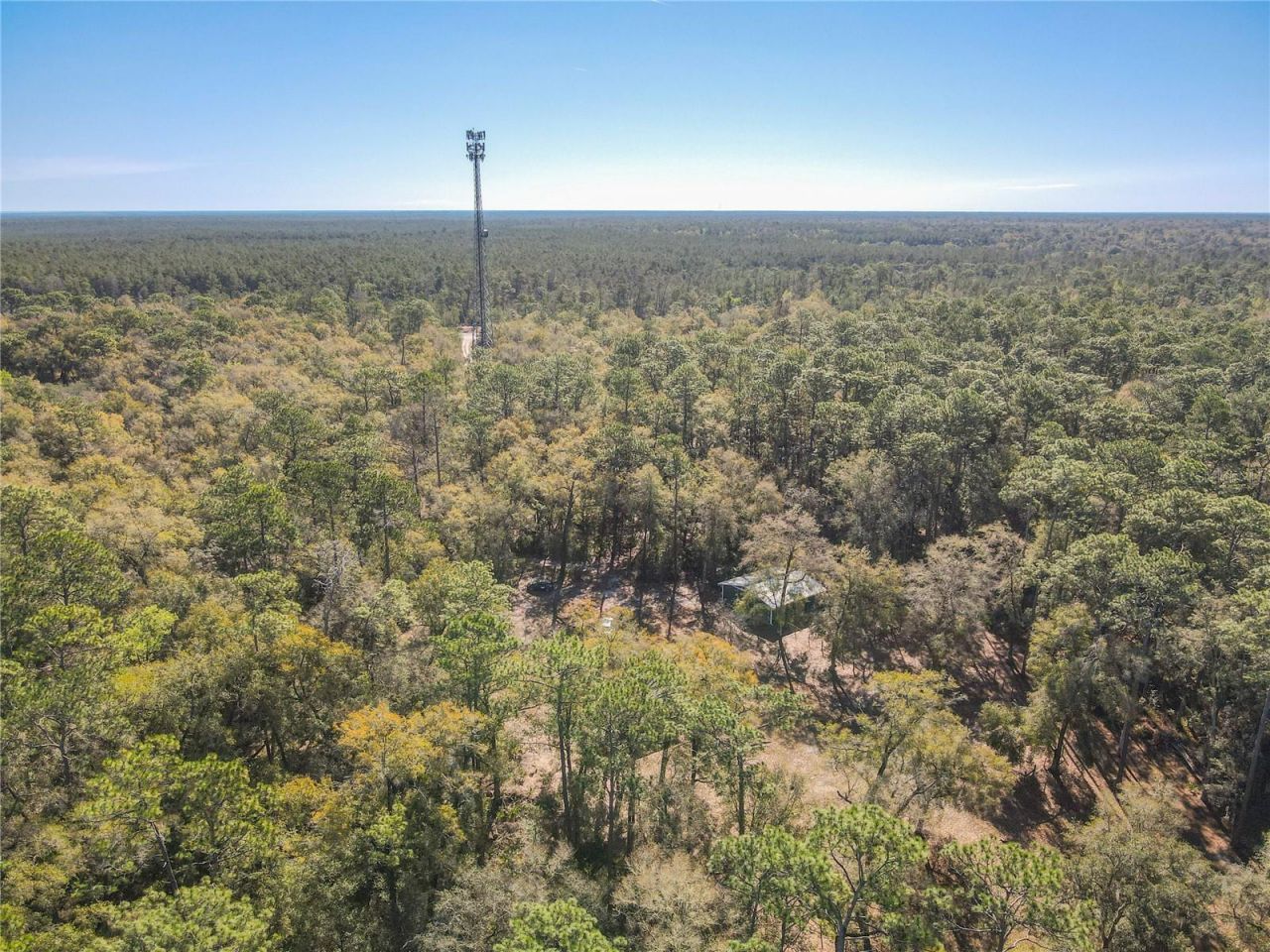 19534 Fox Den Lane , Altoona, FL 32702 Photo